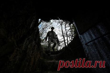 ВСУ столкнулись в зоне СВО с неожиданным противником. Полчища грызунов, появившиеся в окопах бойцов Вооруженных сил Украины (ВСУ) в зоне СВО, стали для них неожиданным противником. Военнослужащие столкнулись с проблемой доступа в интернет, так как мыши перегрызают проводку. Один из украинцев пожаловался на испорченный свитер.