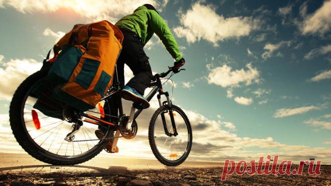 Пума напала на велосипедистов и покалечила женщину. В пригороде Сиэтла группа велосипедистов подверглась нападению пумы. Об этом сообщает NBC. Группа из пяти канадских велосипедистов отправилась на прогулку вдоль ручья в 40 километрах от Сиэтла. Неожиданно на них из-за кустов выскочила ...