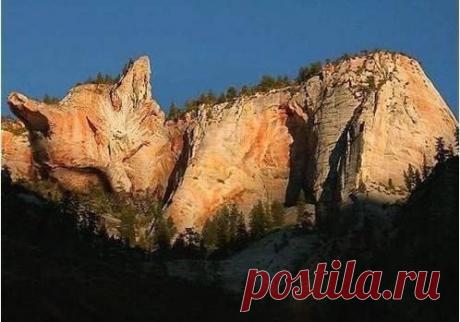 Фотографии на стене сообщества | 7 031 фотография | ВКонтакте