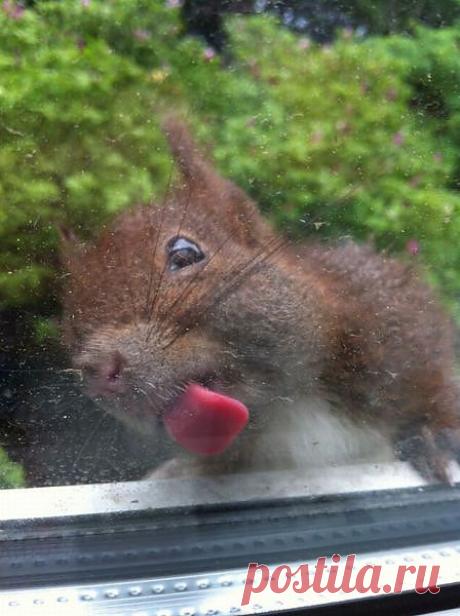 мытьё автомобильных стекол  схвачено  
пацанами...Там не пробьёшься.  Перешла  на частный  сектор--может покормят...