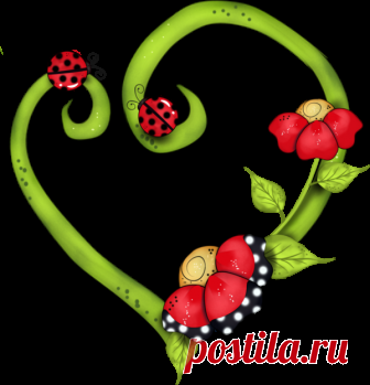 coeur,tube,png