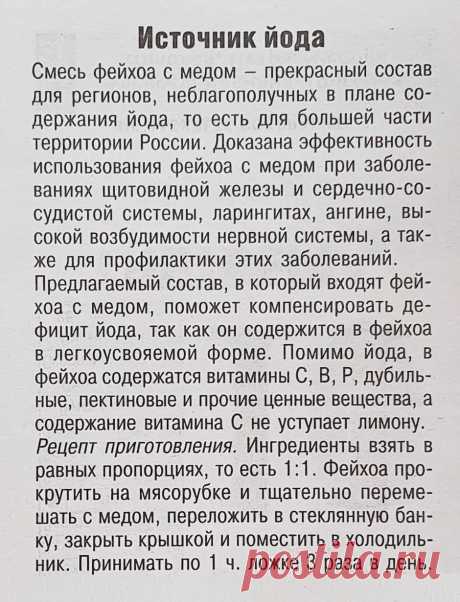 Фейхоа с медом - источник йода