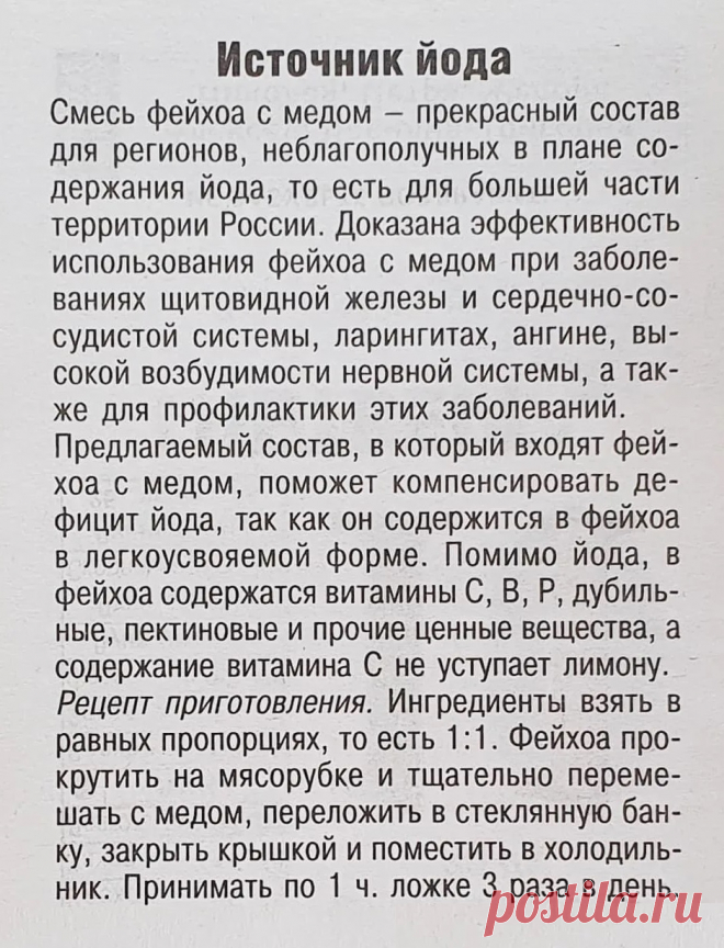 Фейхоа с медом - источник йода