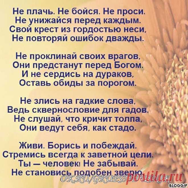 (61) Одноклассники