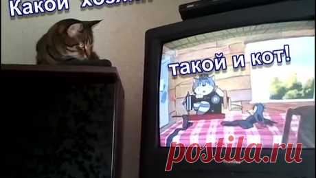 Какой хозяин, такой и кот!