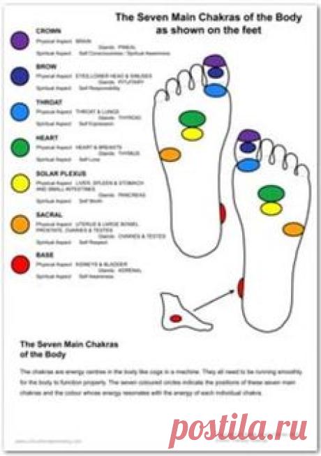 Energy Chakra center on the soles of the feet. Feet, like…