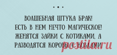Юморное в среду