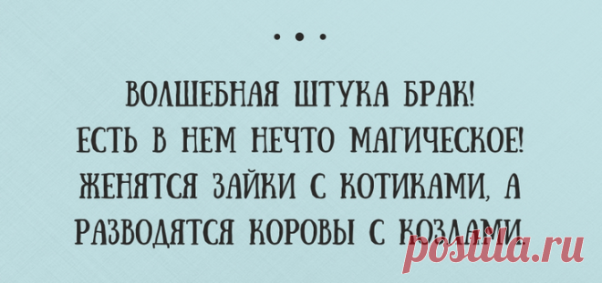 Юморное в среду