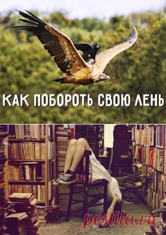 (+1) тема - Как побороть свою лень | Полезные советы