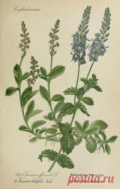 ~ MON PLAISIR ~ Вещи для души. Винтаж,Прованс.