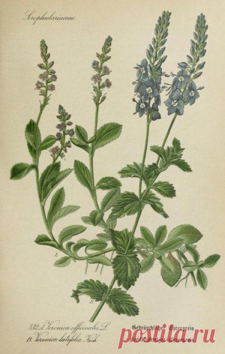 ~ MON PLAISIR ~ Вещи для души. Винтаж,Прованс.