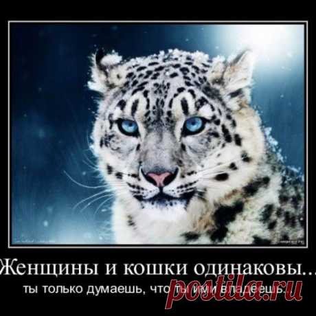Блог сайта «Познавательный сайт ,,1000 мелочей&quot;»