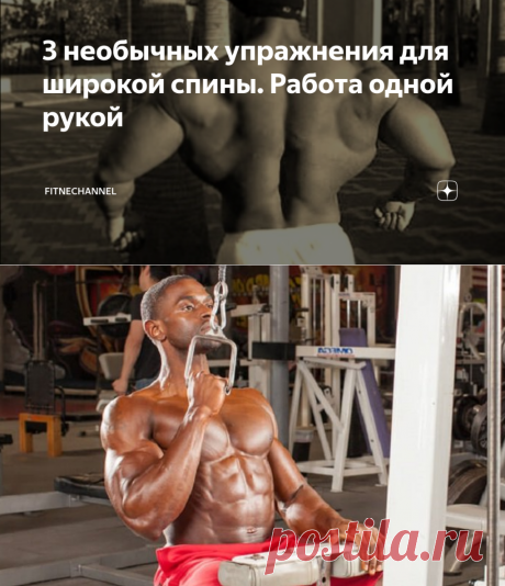 3 необычных упражнения для широкой спины. Работа одной рукой | fitnechannel | Яндекс Дзен