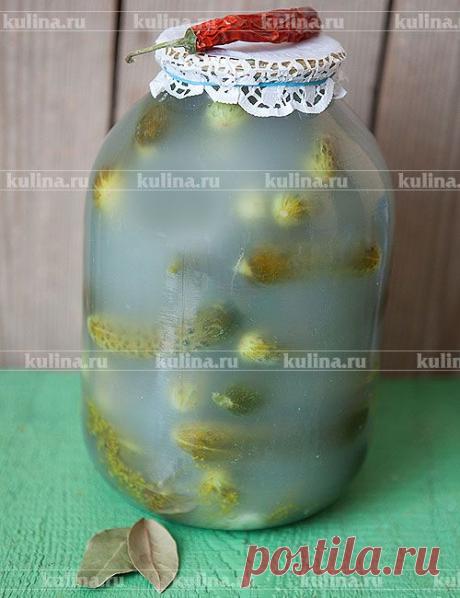 Солёные огурцы на зиму – рецепт приготовления с фото от Kulina.Ru