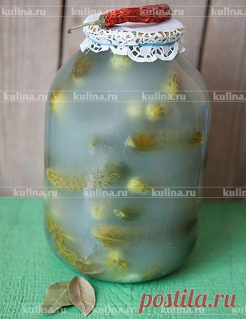 Солёные огурцы на зиму – рецепт приготовления с фото от Kulina.Ru