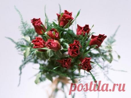 (99) Одноклассники