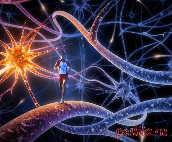 Факты о мозге, которые лучше знать