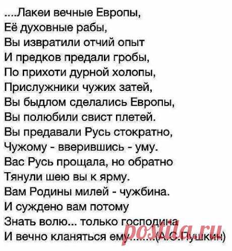 Пушкин прав | Под прицелом