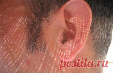 Эта полезная... водка / Домоседы