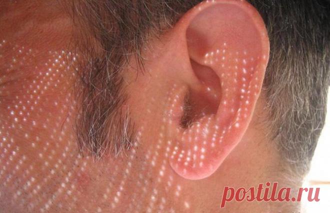 Эта полезная... водка / Домоседы