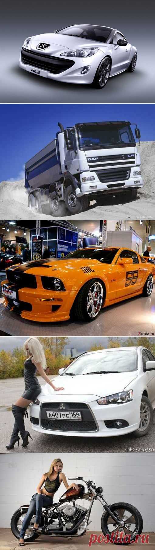 Bristol, Zenvo, BMW, Gonow, Toyota. (1/1) - Авто форум - Auto