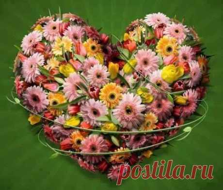 Доброе утро!//Good morning!
Have a nice day!//Хорошего дня!

«Защищайся от зла добром; тот, кто имеет к тебе враждебные чувства, вдруг превратится в твоего друга» (Коран, 22: 96)
Какая разница, какой ты национальности, творение Всевышнего? В первую очередь, ты-человек. Не осмеливайся забывать об этом никогда. Не кичись своей национальностью, ибо плохих или хороших наций нет. Все мы равны для Бога.
Muhammad Ali