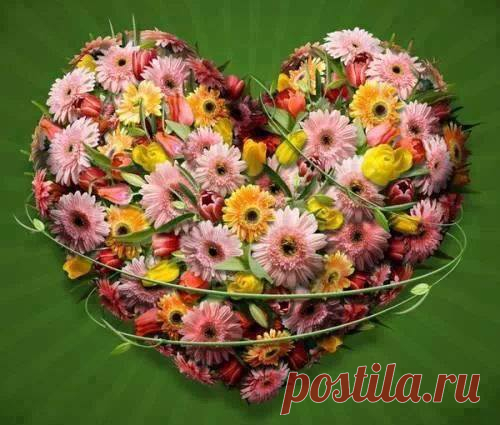 Доброе утро!//Good morning!
Have a nice day!//Хорошего дня!

«Защищайся от зла добром; тот, кто имеет к тебе враждебные чувства, вдруг превратится в твоего друга» (Коран, 22: 96)
Какая разница, какой ты национальности, творение Всевышнего? В первую очередь, ты-человек. Не осмеливайся забывать об этом никогда. Не кичись своей национальностью, ибо плохих или хороших наций нет. Все мы равны для Бога.
Muhammad Ali