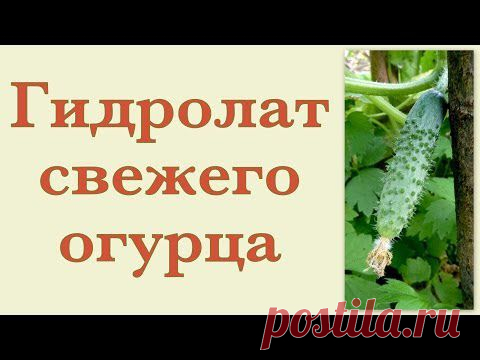 Гидролат огурца в домашних условиях - Ярмарка Мастеров - ручная работа, handmade