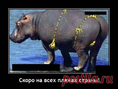 Демотиваторы - 19 картинок - Нет скуки - Сайт хорошего настроения