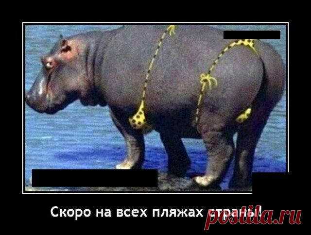 Демотиваторы - 19 картинок - Нет скуки - Сайт хорошего настроения
