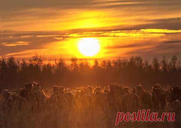 Погоня за Солнцем. Автор фото – Иван Толстов: