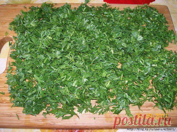 Что делать с зеленью моркови (морковная ботва)?! / Полезные советы / Кулинарные рецепты - Фуд-клаб.ру