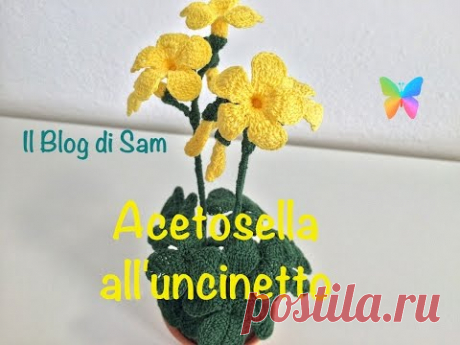 Spiegazione della Acetosella(trifoglio) all'uncinetto