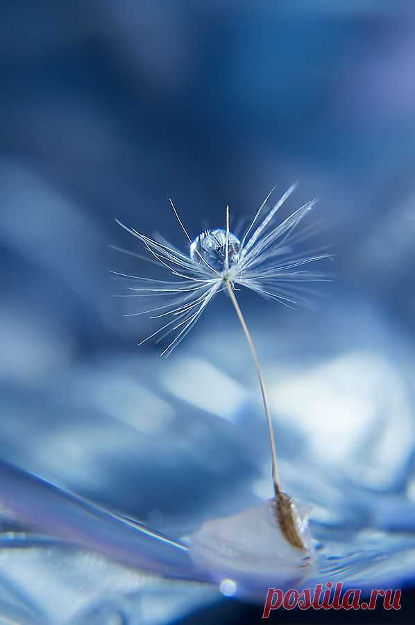 500px / Tears of wind by taehti