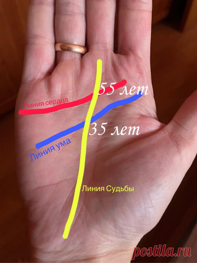Хиромантия, основные этапы жизни | Виктория Кутукова | Яндекс Дзен