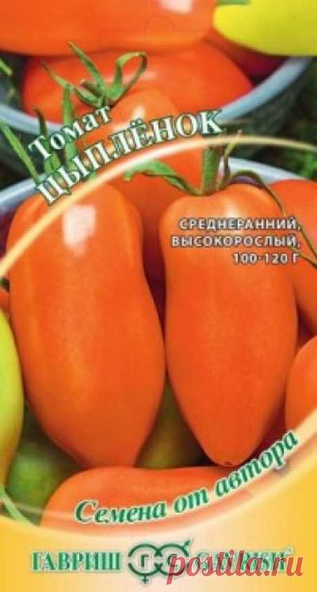 Семена. Томат "Цыплёнок" (вес: 0,1 г) Всхожесть: 82%, 98%.
Среднеранний (110-115 дней от всходов до плодоношения) сорт для выращивания в открытом грунте и под пленочными укрытиями. Растение индетерминантное, требует подвязки и формирования. Плоды оранжевые, в форме вытянутой сливы, массой 100-120 г, очень вкусные и сладкие. В...