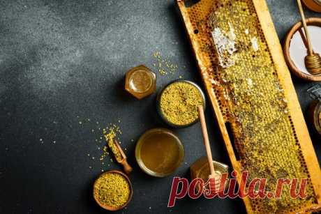 Как пчелиные препараты помогают в садоводстве? Мои рецепты — Ботаничка