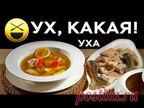Уха и Русский самовар | Сталик Ханкишиев