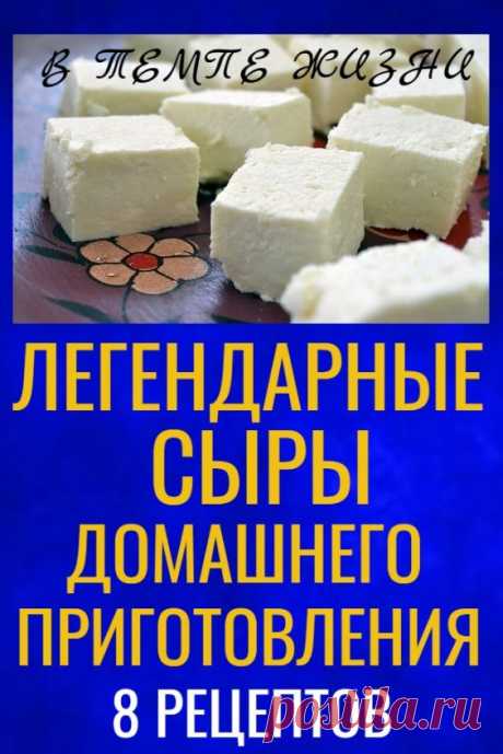 Легендарные сыры домашнего приготовления: 8 простых рецептов | В темпі життя