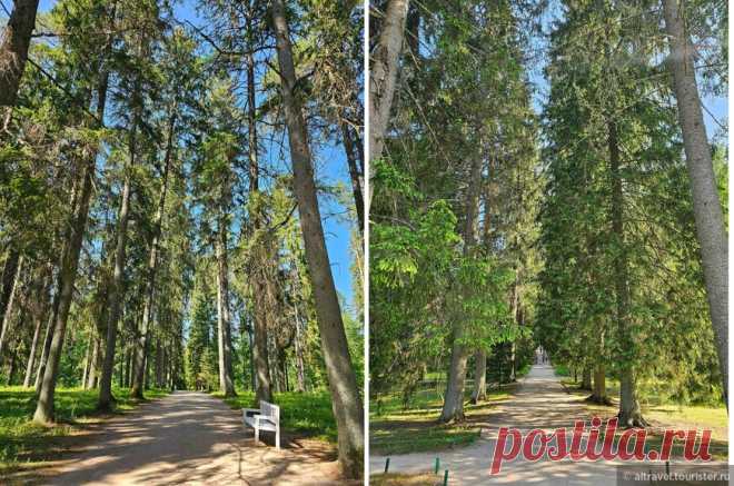 «Пушкинские горы: Михайловское» — фотоальбом пользователя altravel на Туристер.Ру