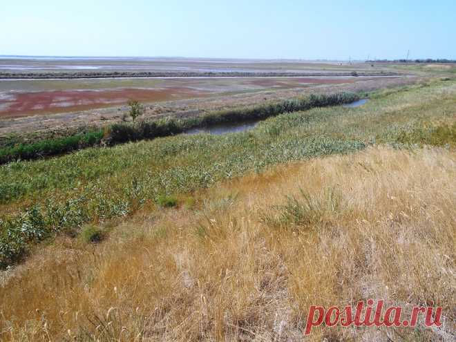 На Солце спицами блистая, тропою резво велоконь катил - 30 Августа 2016 - Персональный сайт