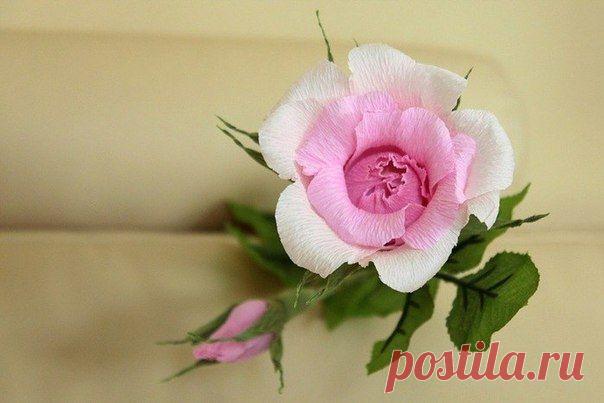 Роза из гофрированной бумаги. Мастер-класс - Цветы из ткани и бумаги