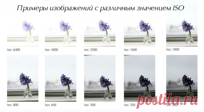 Расширенный диапазон ISO: действительно полезная функция или хитрый маркетинговый ход? | ФОТОГОРА