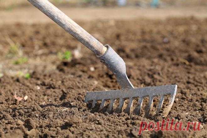 Готовим грядку для посадки, или 3 способа "разбудить" почву
