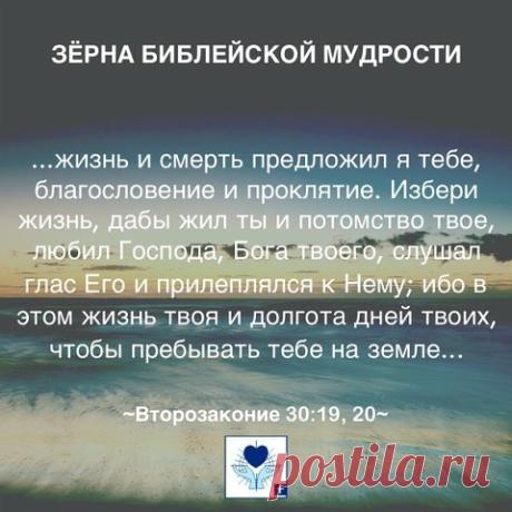(16) Одноклассники