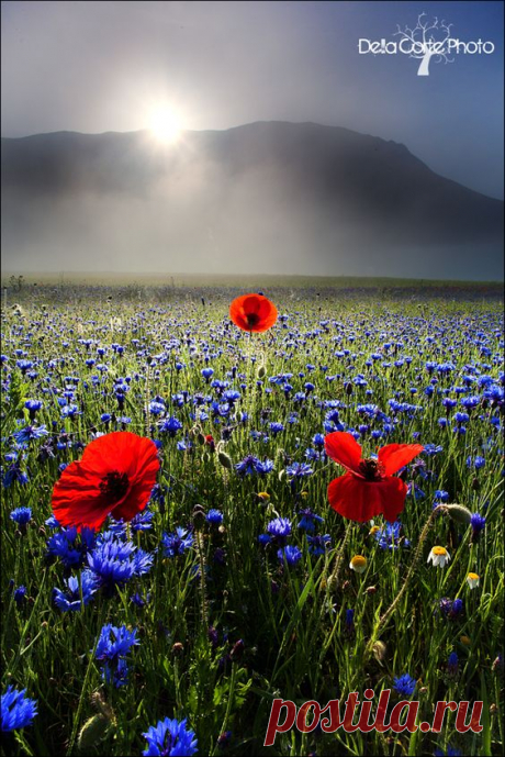 ▪Three red brilliance in a sea of blue... while the sun peeks through▪▪ &quot;Prime Luci&quot; by Alfonso Della Corte  |  Pinterest