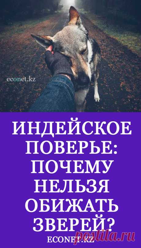 Индейское поверье: Почему нельзя обижать зверей?

Это древнее индейское верование. Издеваться над животными нельзя. Индейцы считали, что болезни возникли так: люди очень жестоко относились к животным, убивали их уже не ради еды, а ради богатства - ради шкур. Или для развлечения. И Верховный Дух разрешил животным защищаться от людей, насылая на них болезни. Только так звери могли себя защитить.