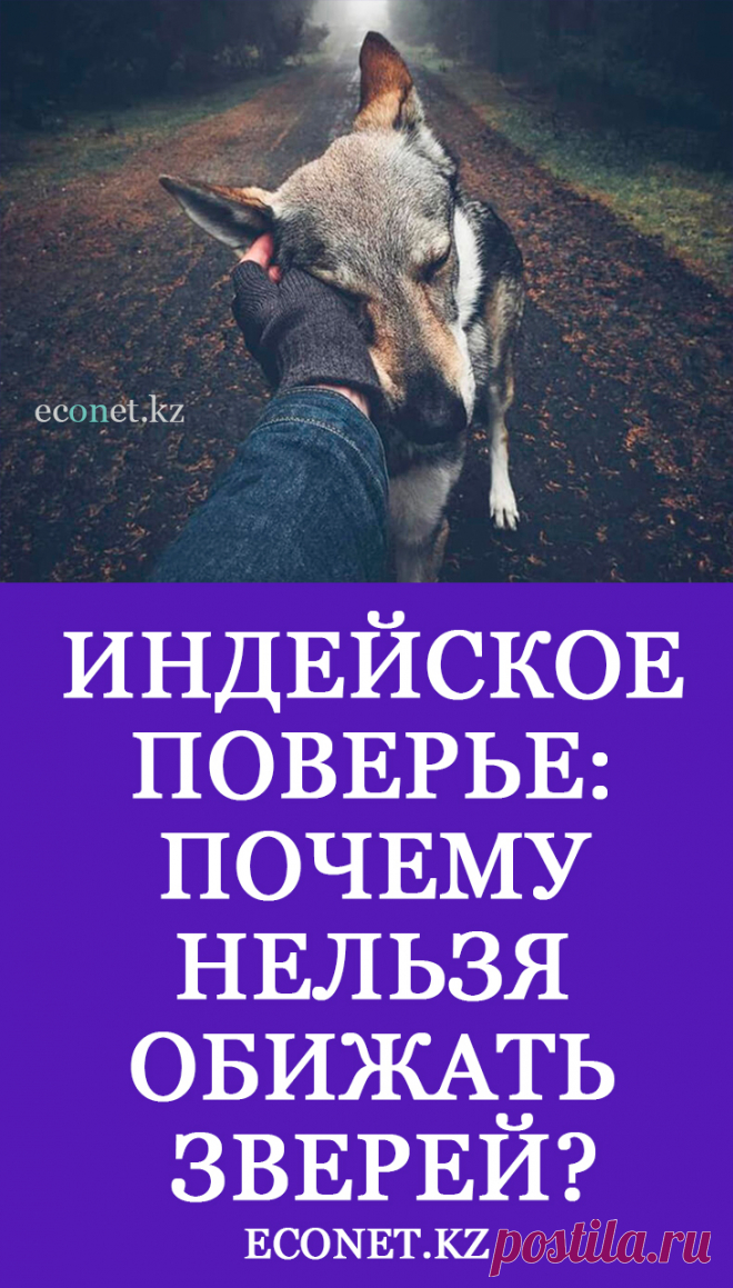 Индейское поверье: Почему нельзя обижать зверей?

Это древнее индейское верование. Издеваться над животными нельзя. Индейцы считали, что болезни возникли так: люди очень жестоко относились к животным, убивали их уже не ради еды, а ради богатства - ради шкур. Или для развлечения. И Верховный Дух разрешил животным защищаться от людей, насылая на них болезни. Только так звери могли себя защитить.