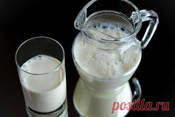 Чем полезно коровье молоко? | CityWomanCafe.com