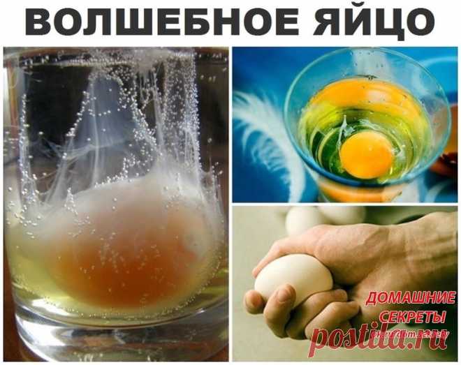 (64) Одноклассники